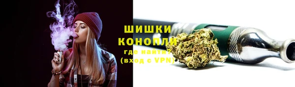 молекула духа Бронницы