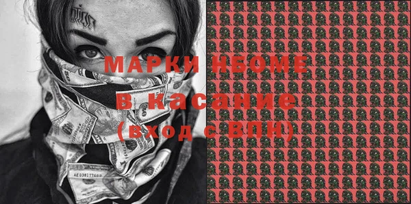 индика Слюдянка