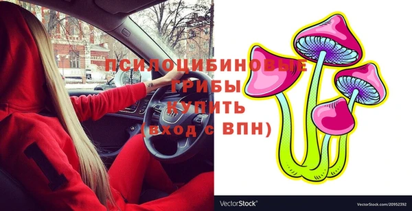альфа пвп Бородино