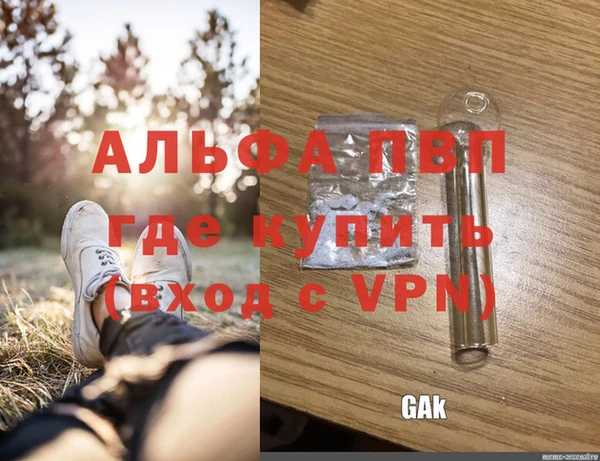 молекула духа Бронницы