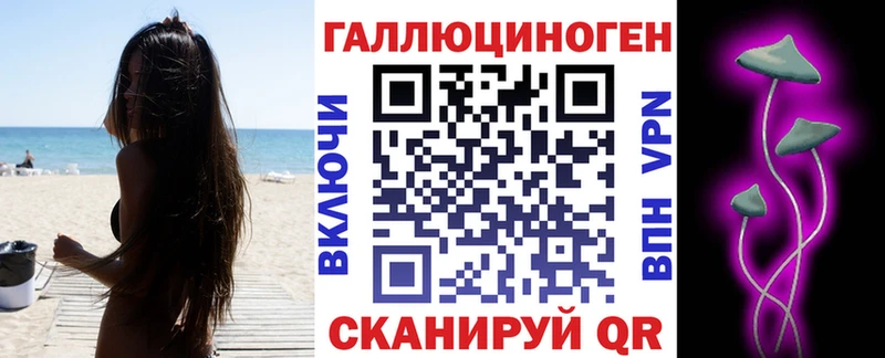 Псилоцибиновые грибы Psilocybe  дарнет шоп  Медногорск 